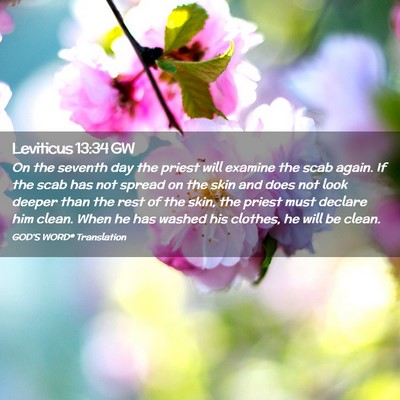 Picture 02 - Leviticus 13:34 GW - On the seventh day the priest will examine the - Bible Verse Picture