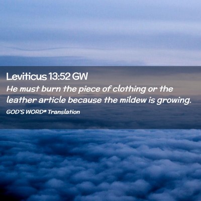 Picture 02 - Leviticus 13:52 GW - He must burn the piece of clothing or the leather - Bible Verse Picture