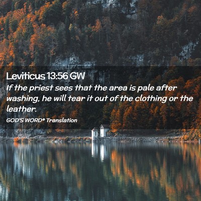 Picture 02 - Leviticus 13:56 GW - If the priest sees that the area is pale after - Bible Verse Picture