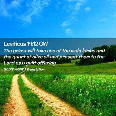 Picture 02 - Leviticus 14:12 GW - The priest will take one of the male lambs and - Bible Verse Picture