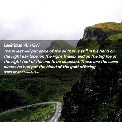 Picture 02 - Leviticus 14:17 GW - The priest will put some of the oil that is still - Bible Verse Picture