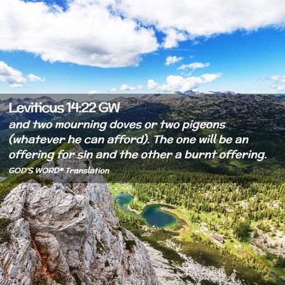 Picture 02 - Leviticus 14:22 GW - and two mourning doves or two pigeons (whatever - Bible Verse Picture