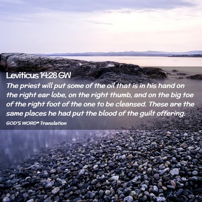 Picture 02 - Leviticus 14:28 GW - The priest will put some of the oil that is in - Bible Verse Picture
