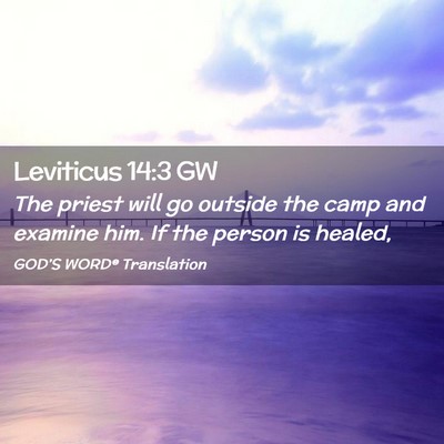 Picture 02 - Leviticus 14:3 GW - The priest will go outside the camp and examine - Bible Verse Picture