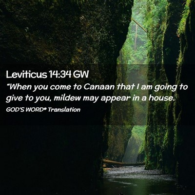 Picture 02 - Leviticus 14:34 GW - “When you come to Canaan that I am going to - Bible Verse Picture