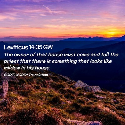 Picture 02 - Leviticus 14:35 GW - The owner of that house must come and tell the - Bible Verse Picture
