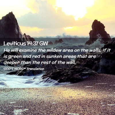 Picture 02 - Leviticus 14:37 GW - He will examine the mildew area on the walls. If - Bible Verse Picture