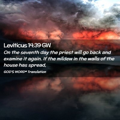 Picture 02 - Leviticus 14:39 GW - On the seventh day the priest will go back and - Bible Verse Picture