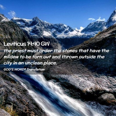 Picture 02 - Leviticus 14:40 GW - the priest must order the stones that have the - Bible Verse Picture