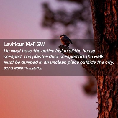 Picture 02 - Leviticus 14:41 GW - He must have the entire inside of the house - Bible Verse Picture