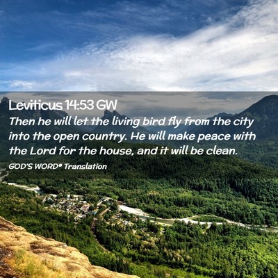 Picture 02 - Leviticus 14:53 GW - Then he will let the living bird fly from the - Bible Verse Picture