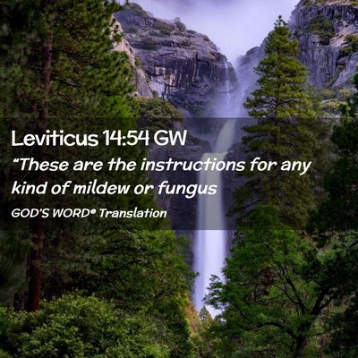 Picture 02 - Leviticus 14:54 GW - “These are the instructions for any kind of - Bible Verse Picture