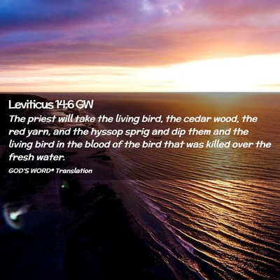 Picture 02 - Leviticus 14:6 GW - The priest will take the living bird, the cedar - Bible Verse Picture