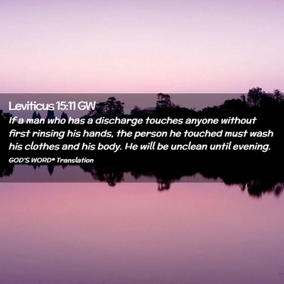 Picture 02 - Leviticus 15:11 GW - If a man who has a discharge touches anyone - Bible Verse Picture