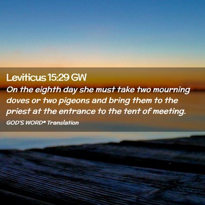Picture 02 - Leviticus 15:29 GW - On the eighth day she must take two mourning - Bible Verse Picture