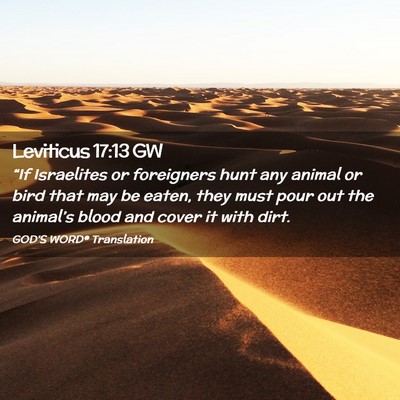 Picture 02 - Leviticus 17:13 GW - “If Israelites or foreigners hunt any animal or - Bible Verse Picture