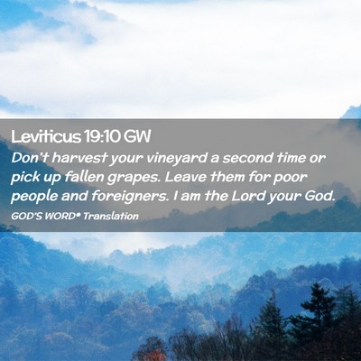 Picture 02 - Leviticus 19:10 GW - Don’t harvest your vineyard a second time or - Bible Verse Picture