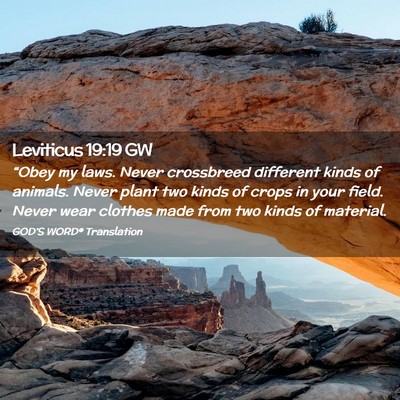 Picture 02 - Leviticus 19:19 GW - “Obey my laws. Never crossbreed different kinds - Bible Verse Picture