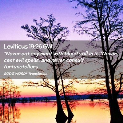 Picture 02 - Leviticus 19:26 GW - “Never eat any meat with blood still in it. - Bible Verse Picture