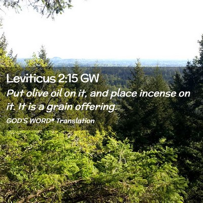 Picture 02 - Leviticus 2:15 GW - Put olive oil on it, and place incense on it. It - Bible Verse Picture