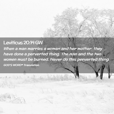 Picture 02 - Leviticus 20:14 GW - When a man marries a woman and her mother, they - Bible Verse Picture