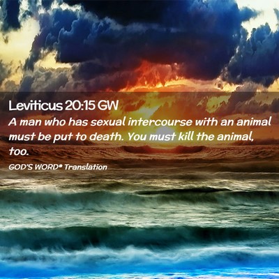 Picture 02 - Leviticus 20:15 GW - A man who has sexual intercourse with an animal - Bible Verse Picture