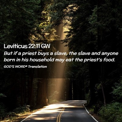 Picture 02 - Leviticus 22:11 GW - But if a priest buys a slave, the slave and - Bible Verse Picture