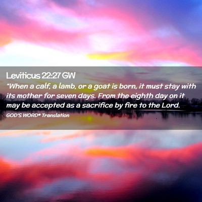 Picture 02 - Leviticus 22:27 GW - “When a calf, a lamb, or a goat is born, it - Bible Verse Picture