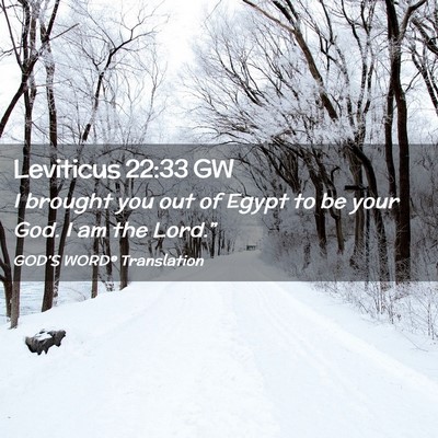 Picture 02 - Leviticus 22:33 GW - I brought you out of Egypt to be your God. I am - Bible Verse Picture