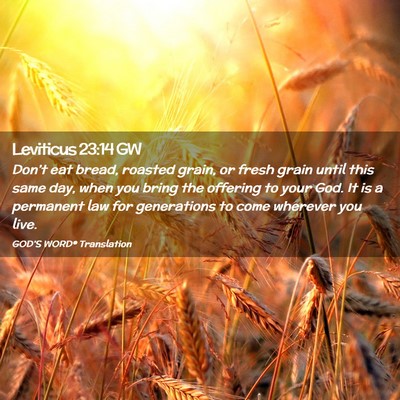 Picture 02 - Leviticus 23:14 GW - Don’t eat bread, roasted grain, or fresh grain - Bible Verse Picture
