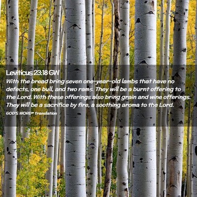 Picture 02 - Leviticus 23:18 GW - With the bread bring seven one-year-old lambs - Bible Verse Picture