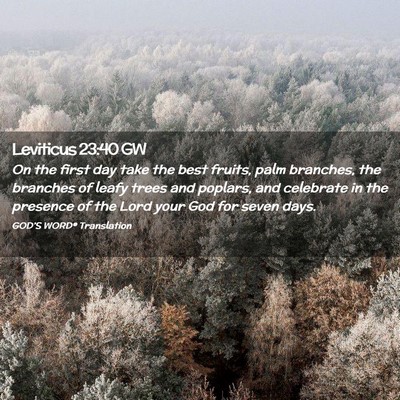Picture 02 - Leviticus 23:40 GW - On the first day take the best fruits, palm - Bible Verse Picture