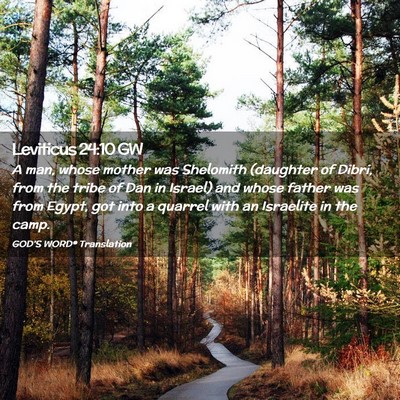 Picture 02 - Leviticus 24:10 GW - A man, whose mother was Shelomith (daughter of - Bible Verse Picture