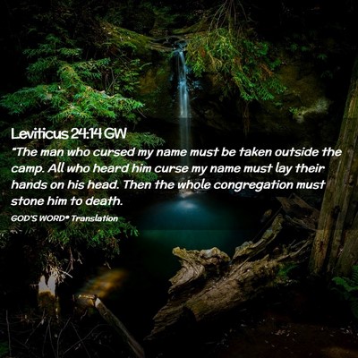 Picture 02 - Leviticus 24:14 GW - “The man who cursed my name must be taken - Bible Verse Picture