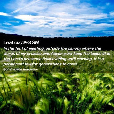 Picture 02 - Leviticus 24:3 GW - In the tent of meeting, outside the canopy where - Bible Verse Picture