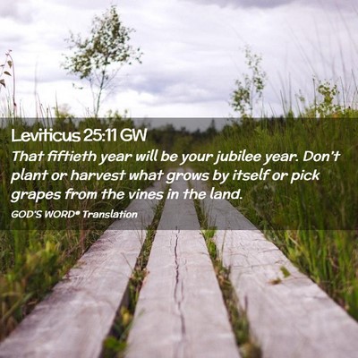 Picture 02 - Leviticus 25:11 GW - That fiftieth year will be your jubilee year. - Bible Verse Picture