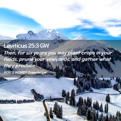 Picture 02 - Leviticus 25:3 GW - Then, for six years you may plant crops in your - Bible Verse Picture