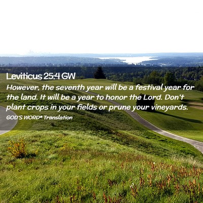 Picture 02 - Leviticus 25:4 GW - However, the seventh year will be a festival year - Bible Verse Picture
