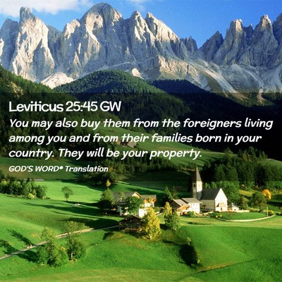 Picture 02 - Leviticus 25:45 GW - You may also buy them from the foreigners living - Bible Verse Picture
