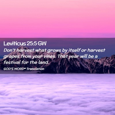 Picture 02 - Leviticus 25:5 GW - Don’t harvest what grows by itself or harvest - Bible Verse Picture