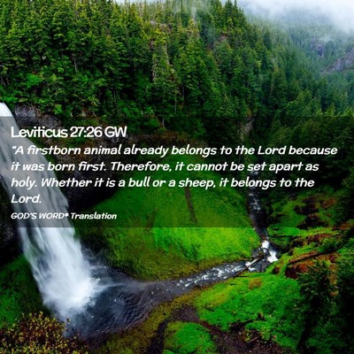 Picture 02 - Leviticus 27:26 GW - “A firstborn animal already belongs to the Lord - Bible Verse Picture