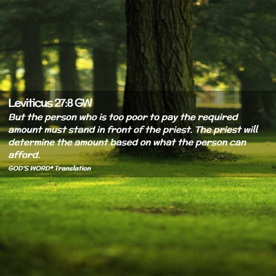 Picture 02 - Leviticus 27:8 GW - But the person who is too poor to pay the - Bible Verse Picture