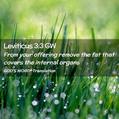 Picture 02 - Leviticus 3:3 GW - From your offering remove the fat that covers the - Bible Verse Picture