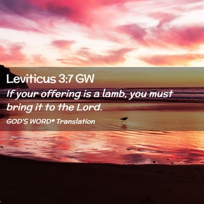Picture 02 - Leviticus 3:7 GW - If your offering is a lamb, you must bring it to - Bible Verse Picture