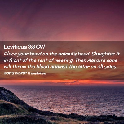 Picture 02 - Leviticus 3:8 GW - Place your hand on the animal’s head. Slaughter - Bible Verse Picture