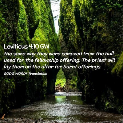 Picture 02 - Leviticus 4:10 GW - the same way they were removed from the bull used - Bible Verse Picture