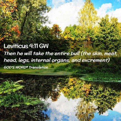 Picture 02 - Leviticus 4:11 GW - Then he will take the entire bull (the skin, - Bible Verse Picture