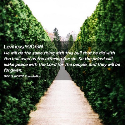 Picture 02 - Leviticus 4:20 GW - He will do the same thing with this bull that he - Bible Verse Picture
