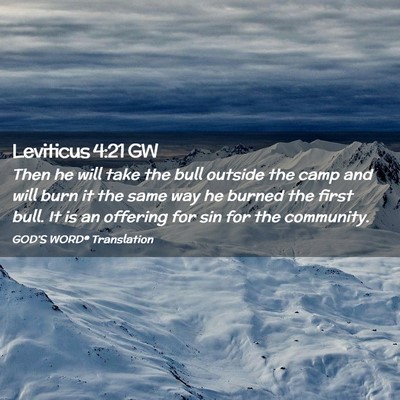 Picture 02 - Leviticus 4:21 GW - Then he will take the bull outside the camp and - Bible Verse Picture