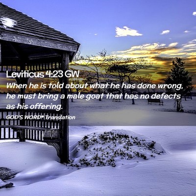 Picture 02 - Leviticus 4:23 GW - When he is told about what he has done wrong, he - Bible Verse Picture